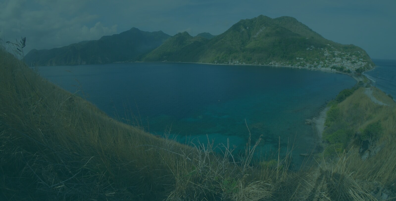 Caribbean & industry partners